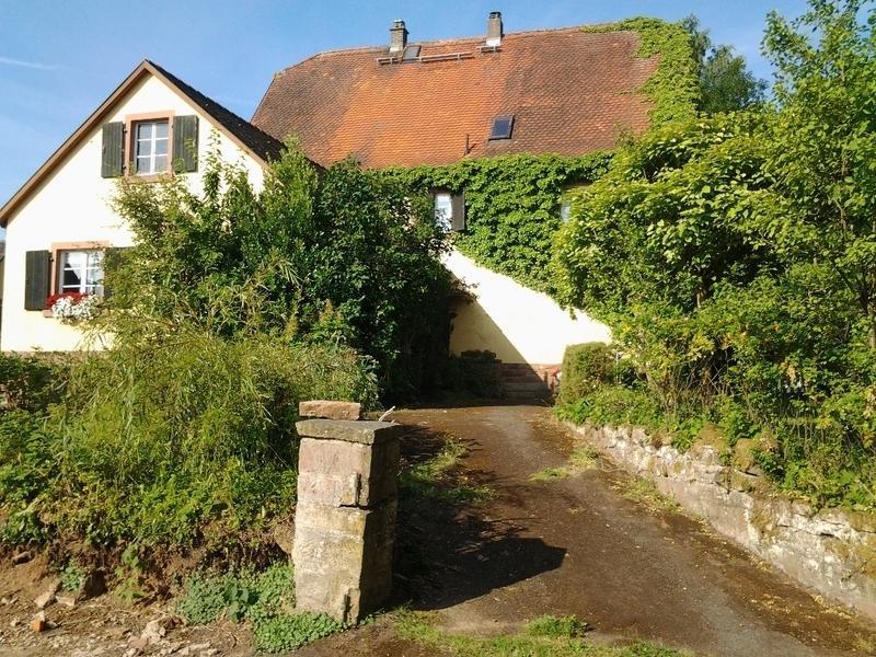 Gastehaus Zum Alten Schulhaus Hotel Miltenberg Habitación foto